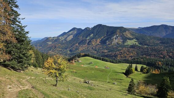 Photo de Christian Thomas le long du parcours