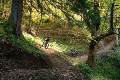 Augst Trail am Loser in Altaussee