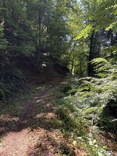 Foto de Günter Ritzer a lo largo del recorrido