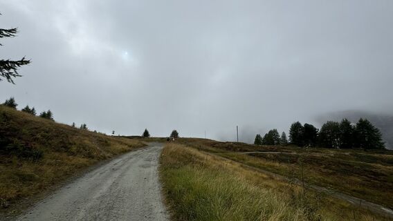 Foto från peter_oe under resans gång