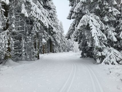 Winterspaß beim Langlauf