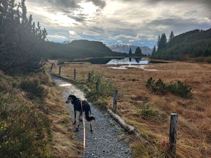 Foto von Xenia Lange entlang der Tour