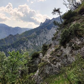 Ausblick auf die bizarren Felsformen im Lattengebirge.