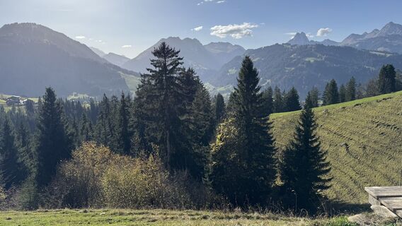 Foto von peter_oe entlang der Tour