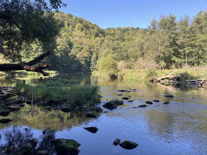 Foto de Rosťa Krejčí a lo largo del recorrido