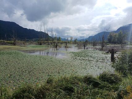 Fotografie de la Thomas Michalek 1 de-a lungul turului