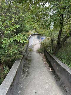 Photo de Tino W. le long du parcours