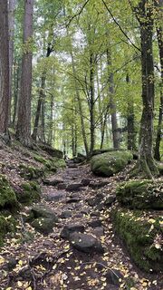 Foto de Siggi unterwegs a lo largo del recorrido