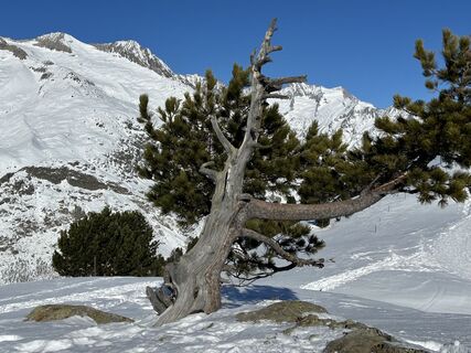Foto von reemyyse entlang der Tour