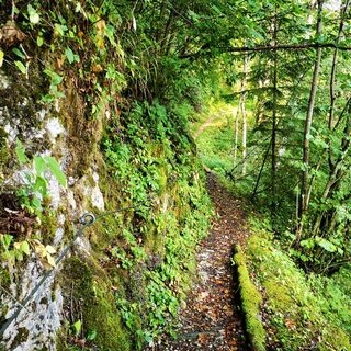 Salzaklamm
