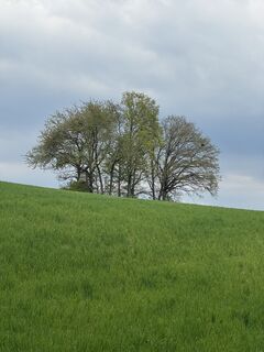 Foto von Christian H. entlang der Tour