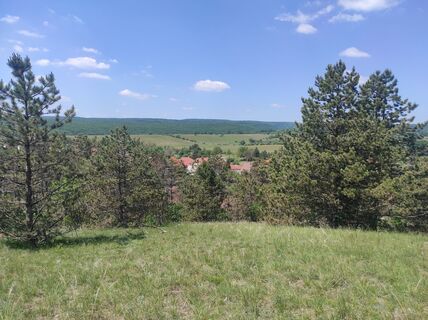 Photo de Làszló Visi le long du parcours