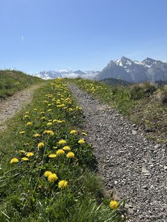 Foto von Rolf Limacher entlang der Tour