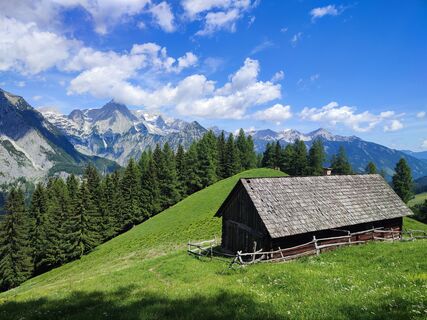 Blick über die Hochsteinalm (Nickeralm) zum Gr, Priel