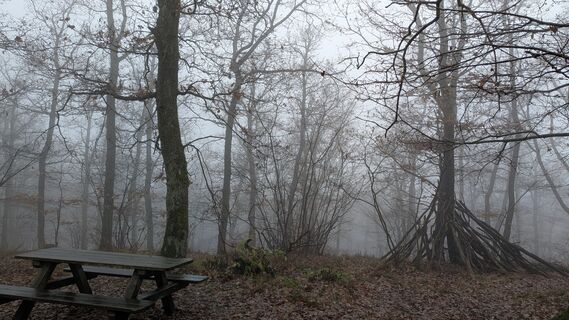 Zdjęcie z Tunkelchen wzdłuż trasy