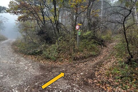 Forststraße: Zustieg zum "Weißer Weg"