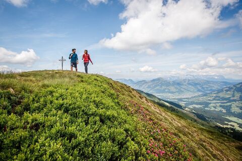 KAT-Walk2019@ErwinHaiden-6109 e2 gipfel ausblick natur.jpg
