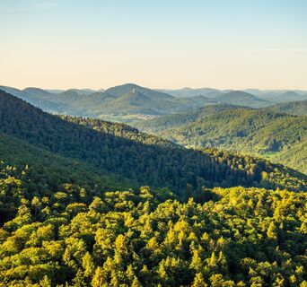Trifelsblick von der Meistersel