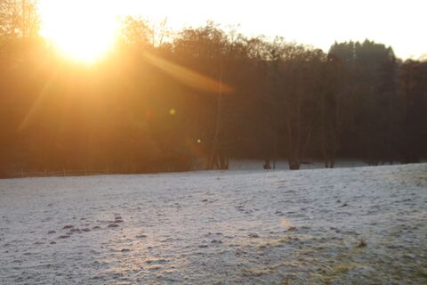 Zdjęcie z Günter Kleutsch wzdłuż trasy