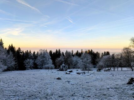 Fotografija s spletne strani Sabrina Hackel na poti