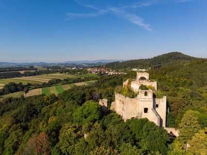Burgruine Landsee