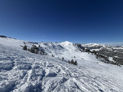 Photo de Patrick Frank le long du parcours