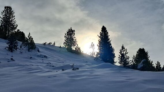Photo de Urban Wille le long du parcours