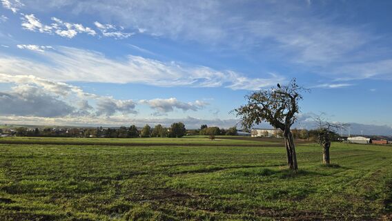 Foto de Katja Senkel a lo largo del recorrido