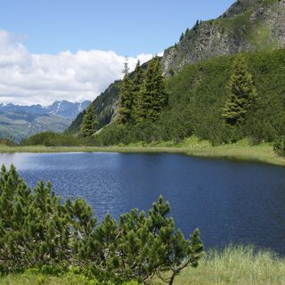 Wiegensee