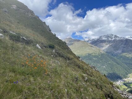 Foto von Raymond Woertman entlang der Tour