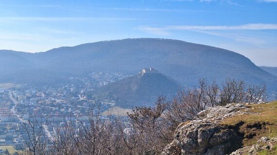 Fotografia z Regina Fleischmann na trase