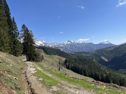 Fotografija s spletne strani D Fenneis na poti