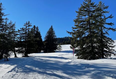Winterwanderweg Tannenheim-Prodalp