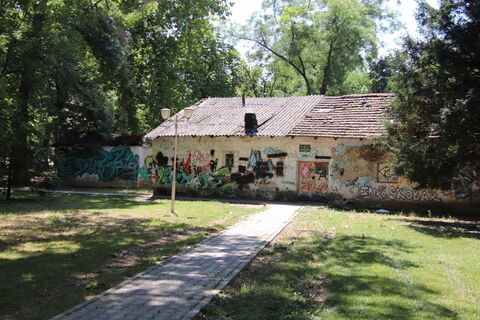 Fotografia z Günter Kleutsch na trase