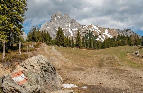 Blick auf den Reichenstein