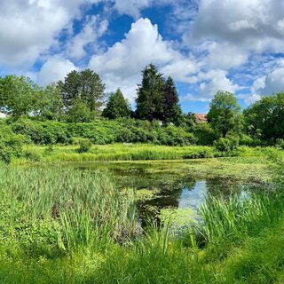 Quellenweg Überlingen am Ried