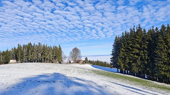 Foto de Matthias Rottenschlager a lo largo del recorrido