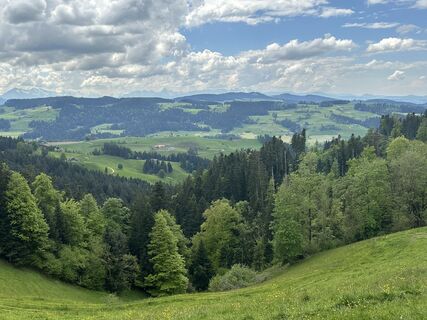 Fotografija s spletne strani Nadja Begre na poti