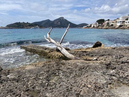 Foto från Rainer Pieper under resans gång