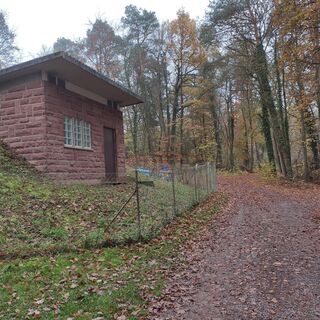 Wasserhäuschen im Wald-W5