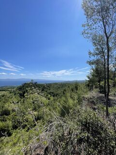 Zdjęcie z JB wzdłuż trasy