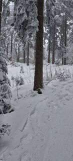 Photo de Helmut ingelsberger le long du parcours