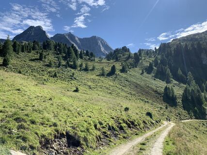 Photo de Koen De Wit le long du parcours