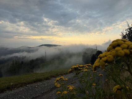 Fotografie z Gerti Glettler na trase