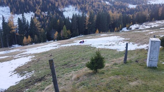 Fotografija s spletne strani cat na poti