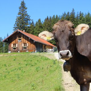 Dinserhütte mit Schumpen