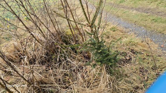 Foto de Edit Szoboszlay a lo largo del recorrido