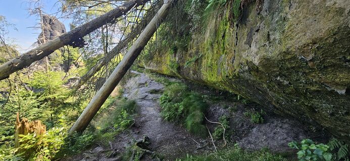 Foto von Bert entlang der Tour