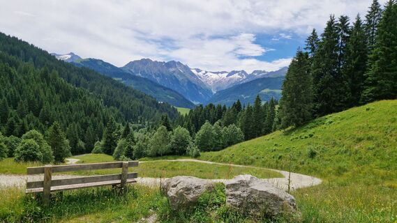 Fotografia z Gerrit van der Linde na trase
