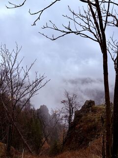 Fotografija s spletne strani TallWanderBilly na poti